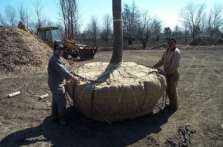 Landscape project by Landforms Design Inc in Cedar Rapids Iowa