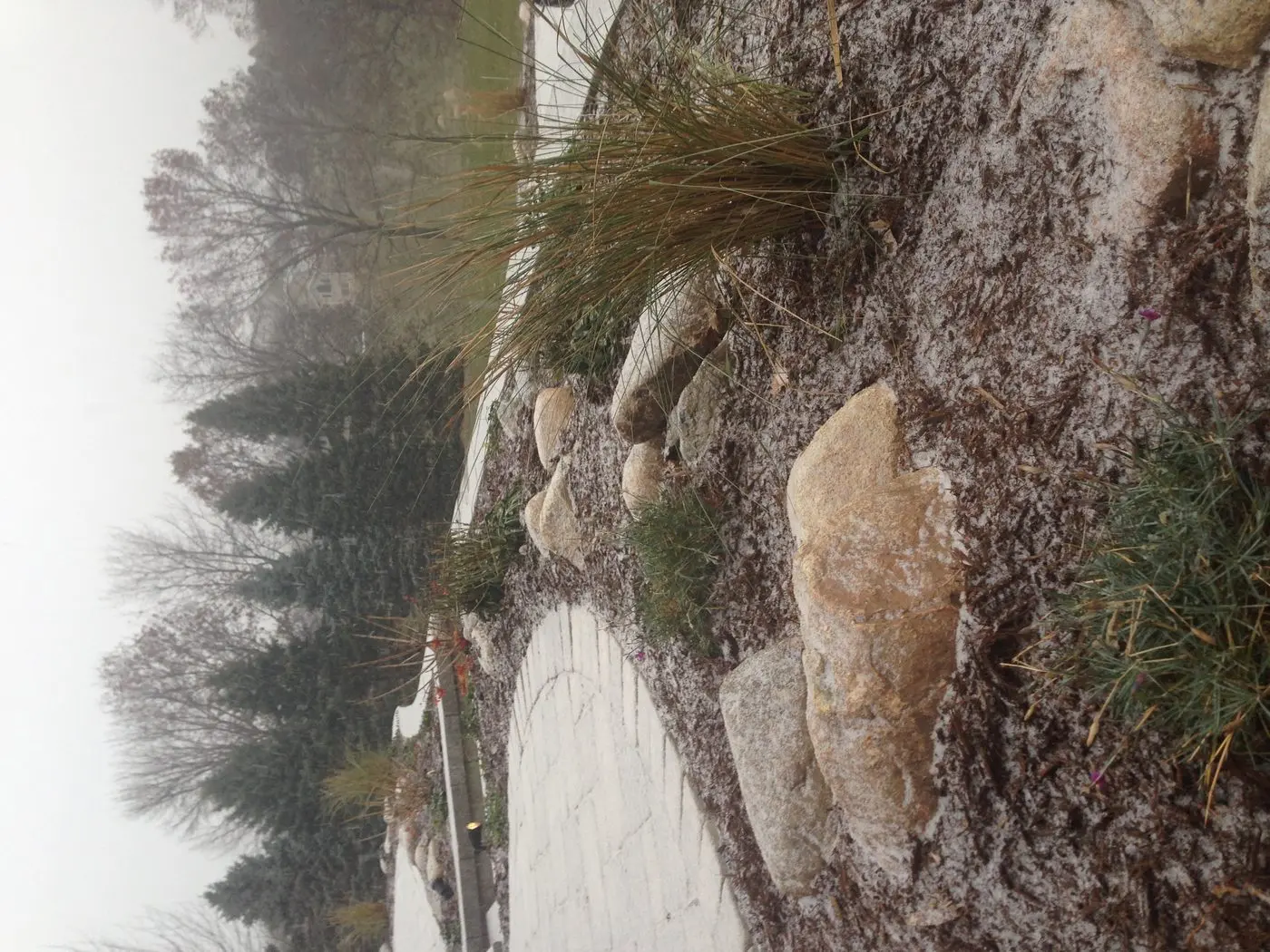 Landscape project by Landforms Design Inc in Cedar Rapids Iowa