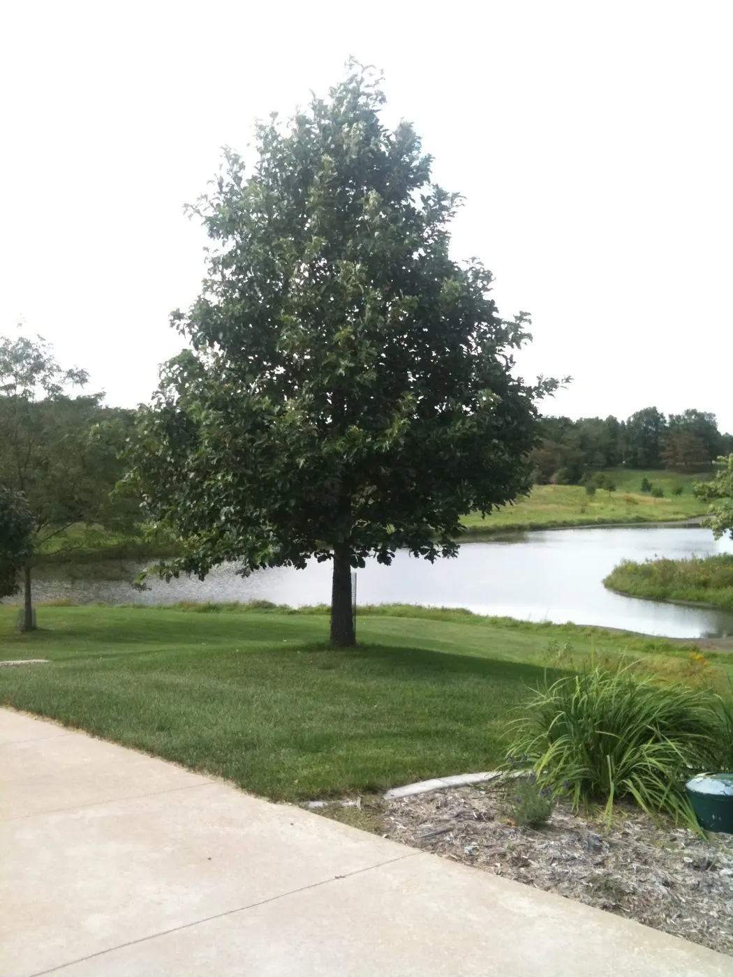 Landscape project by Landforms Design Inc in Cedar Rapids Iowa