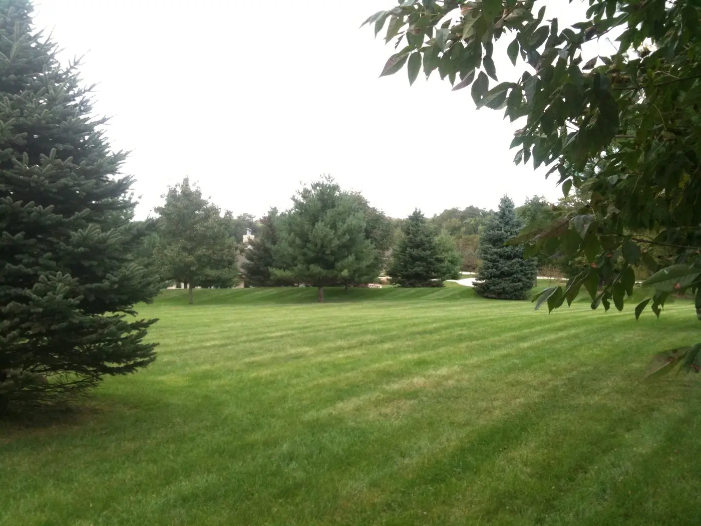 Landscape project by Landforms Design Inc in Cedar Rapids Iowa