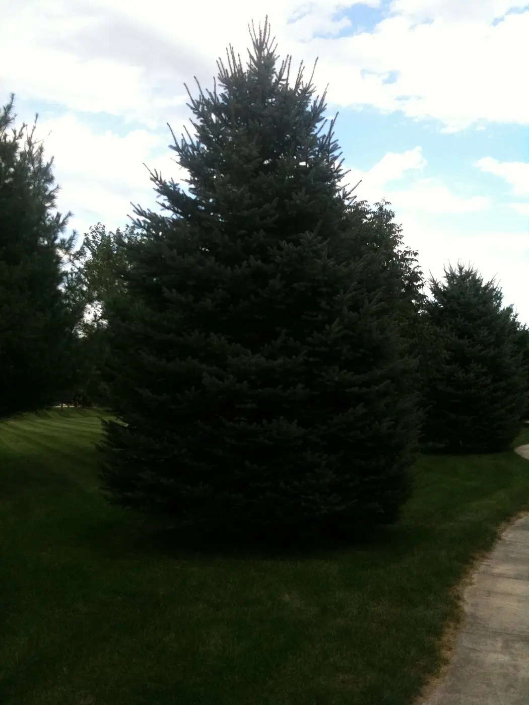 Landscape project by Landforms Design Inc in Cedar Rapids Iowa