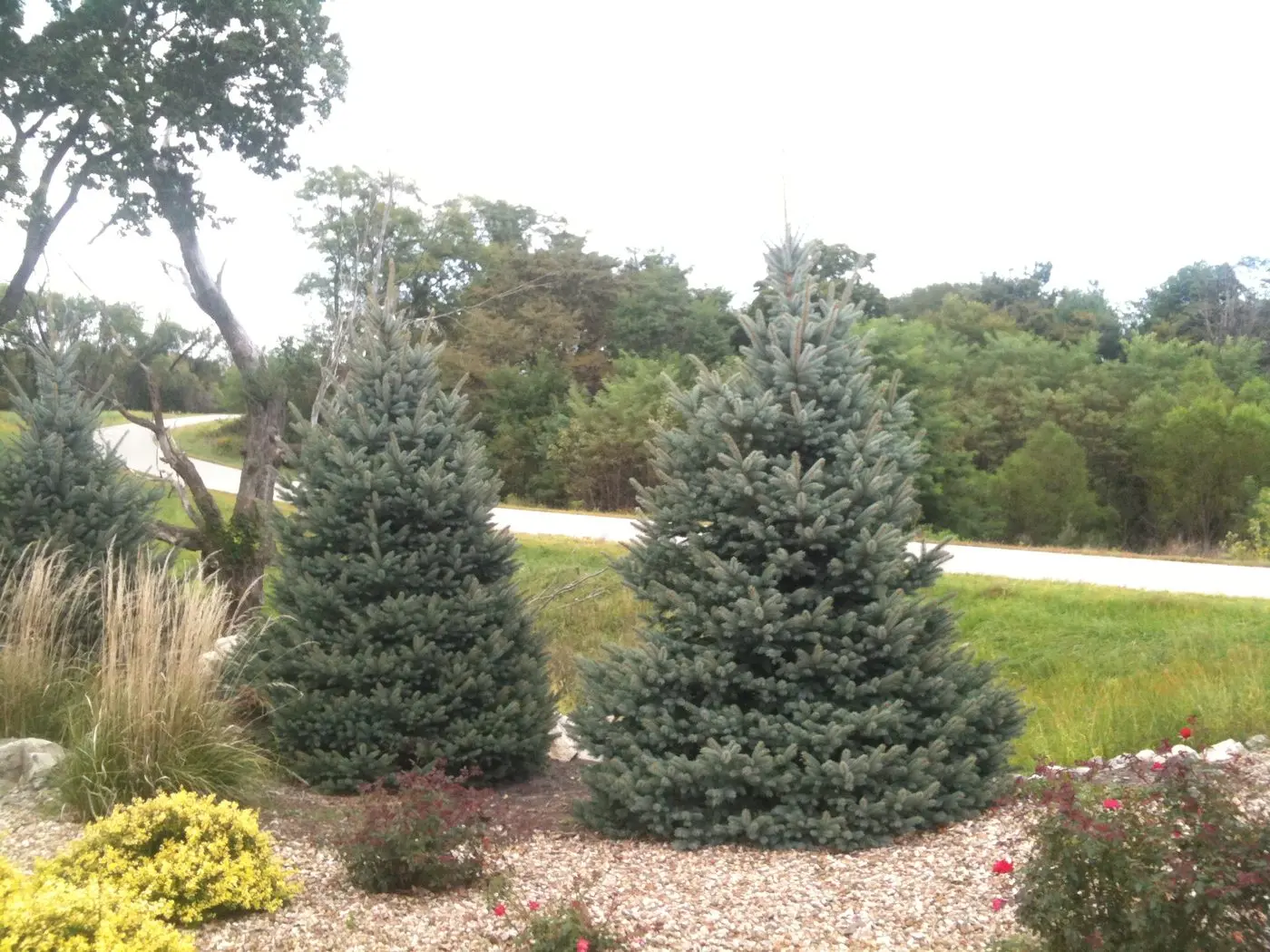 Landscape project by Landforms Design Inc in Cedar Rapids Iowa