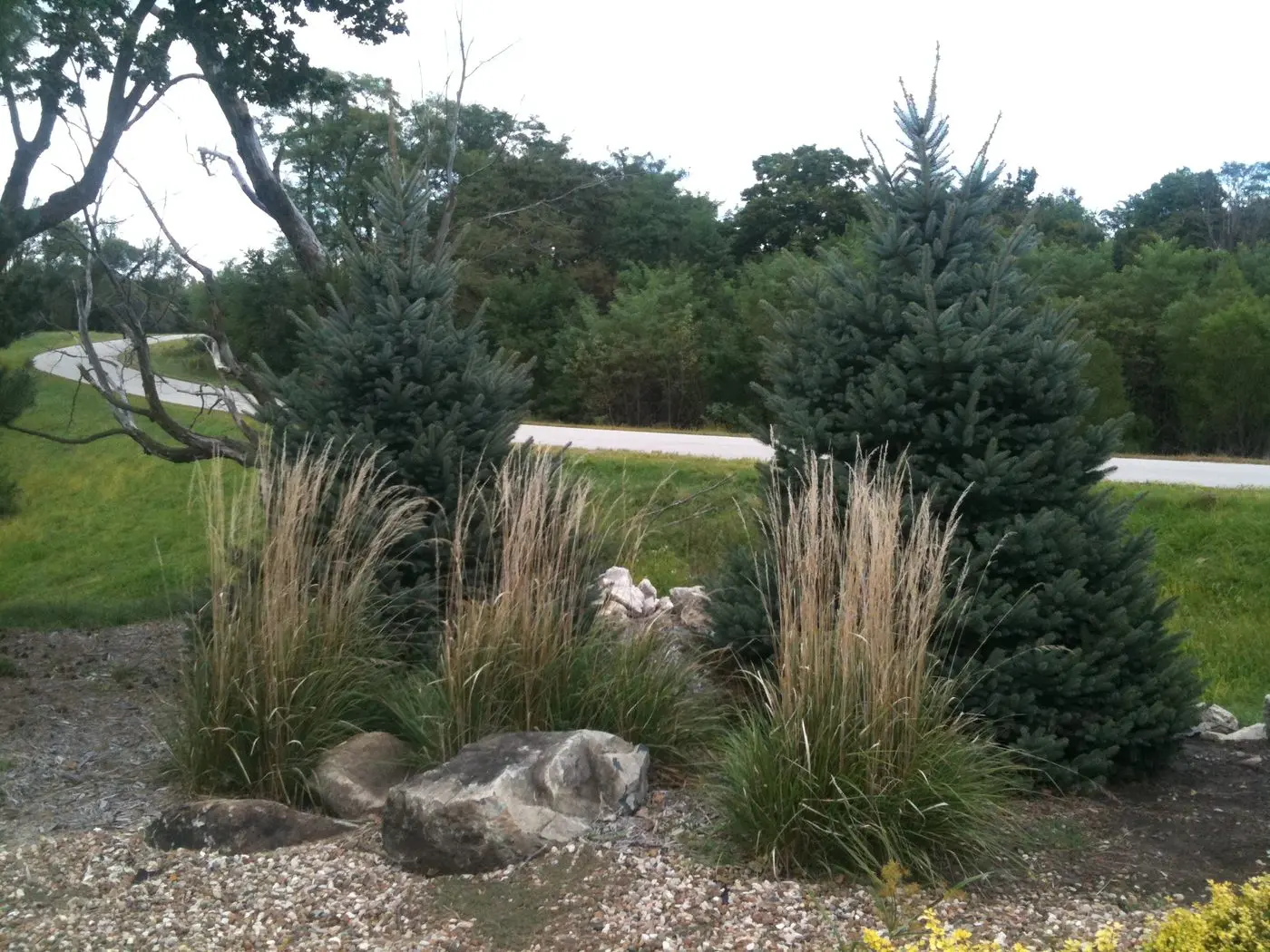 Landscape project by Landforms Design Inc in Cedar Rapids Iowa