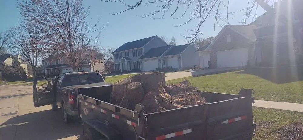 Landscape project by Landforms Design Inc in Cedar Rapids Iowa