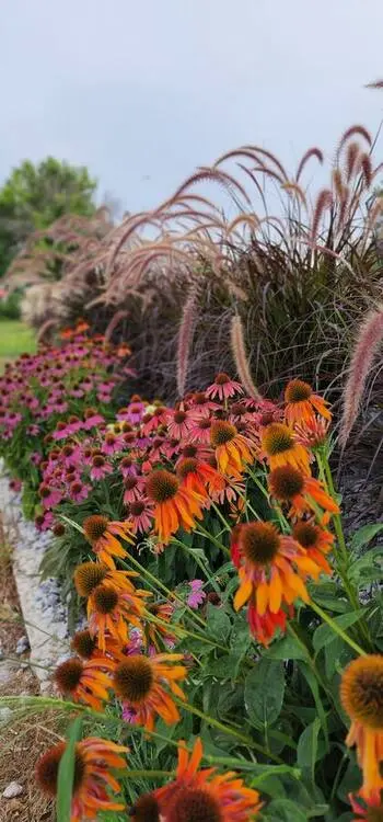 Landscape project by Landforms Design Inc in Cedar Rapids Iowa