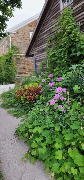 Landscape project by Landforms Design Inc in Cedar Rapids Iowa