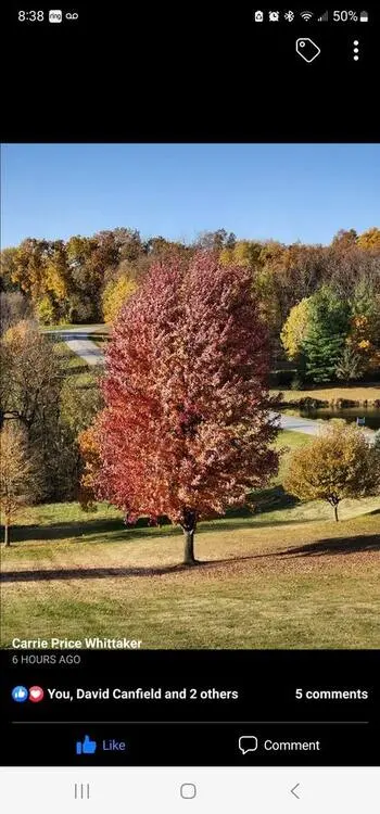 Landscape project by Landforms Design Inc in Cedar Rapids Iowa