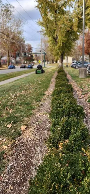 Landscape project by Landforms Design Inc in Cedar Rapids Iowa