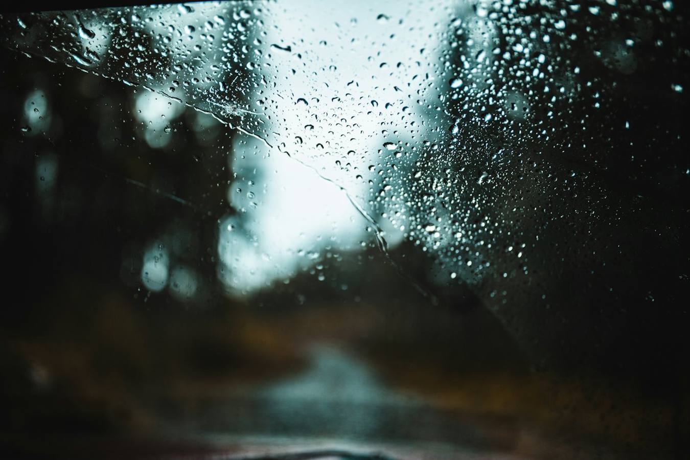 Dash cams and visibility