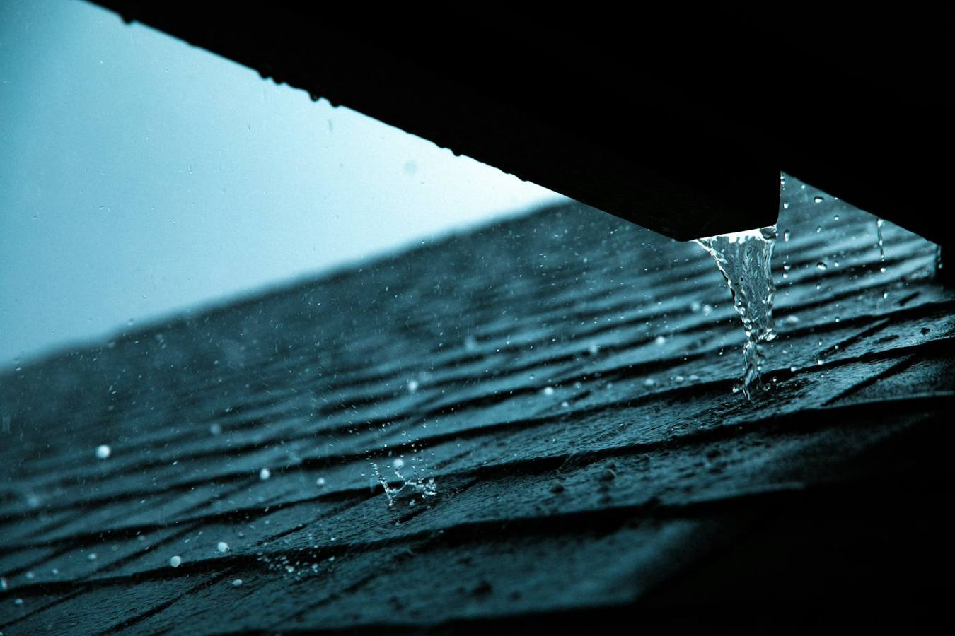 Roof and gutter care